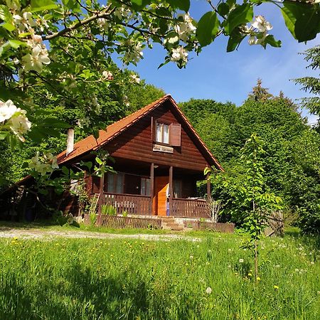 Casa Lacramioara Villa Sîmbăta de Sus Exteriör bild