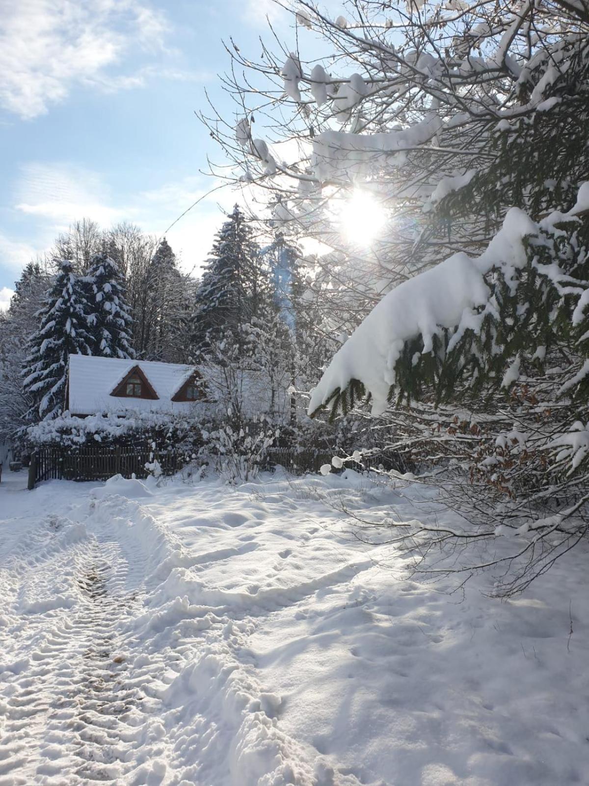 Casa Lacramioara Villa Sîmbăta de Sus Exteriör bild