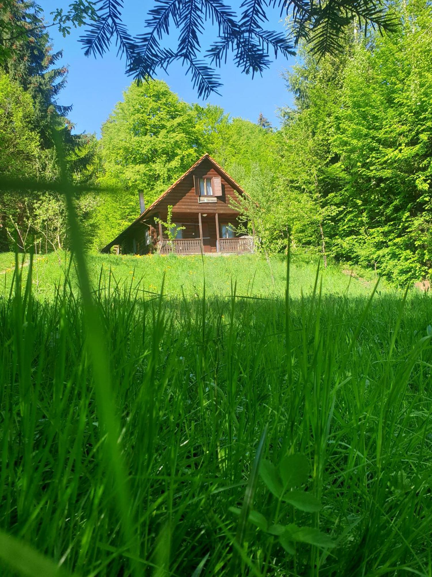 Casa Lacramioara Villa Sîmbăta de Sus Exteriör bild