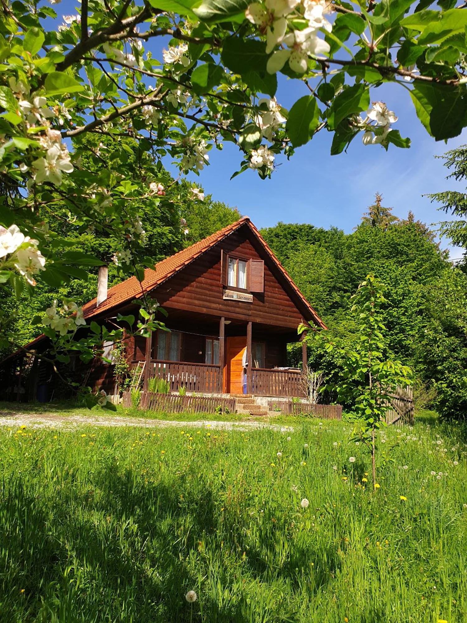 Casa Lacramioara Villa Sîmbăta de Sus Exteriör bild