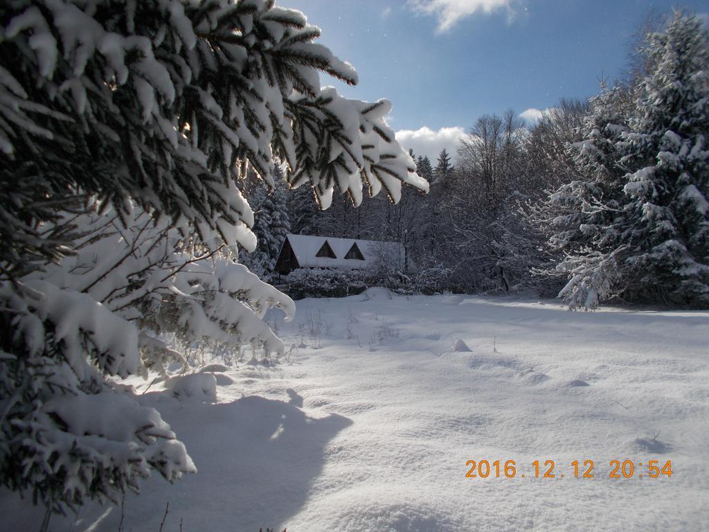 Casa Lacramioara Villa Sîmbăta de Sus Exteriör bild