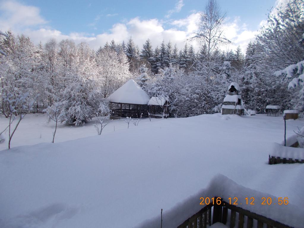 Casa Lacramioara Villa Sîmbăta de Sus Exteriör bild